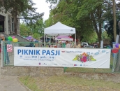 „Piknik Pasji – coroczne święto organizacji pozarządowych” za nami
