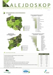 Kalejdoskop Zachodniopomorskiego Rynku Pracy 1/2017