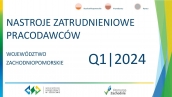 Nastroje zatrudnieniowe pracodawców w województwie zachodniopomorskim w I kwartale 2024 roku