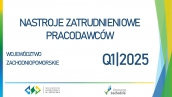 Nastroje zatrudnieniowe pracodawców w województwie zachodniopomorskim w I kwartale 2025 roku