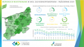 Bezrobocie w województwie zachodniopomorskim w październiku 2019r.