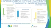 Monitoring zawodów deficytowych i nadwyżkowych w 2019 roku - Raport roczny