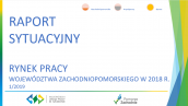 Raport sytuacyjny - I 2019