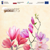 „Zachodniopomorskie Magnolie EFS 2021” – VII edycja konkursu