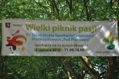 XV Szczecińskie Spotkanie Organizacji Pozarządowych „Pod Platanami”