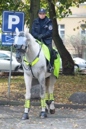 Sprawozdanie  z Ogólnopolskiego Tygodnia Kariery organizowanego przez Wojewódzki Urząd Pracy  w Szczecinie