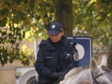 Policja Konna