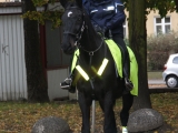 Policja Konna